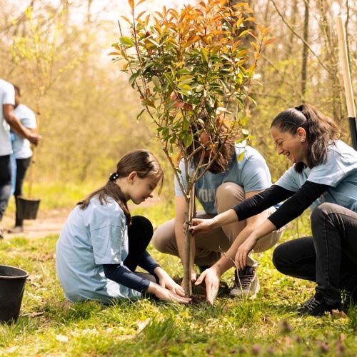 Protección y vigilancia de áreas verdes y plazas públicas de Las Condes